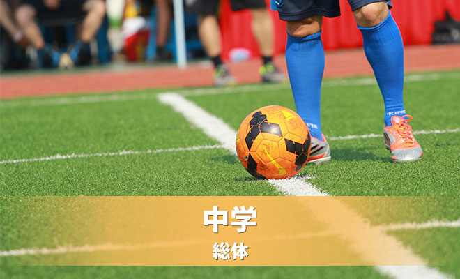 平成２８年度　第５５回長野県中学校総合体育大会夏季大会　サッカー競技の部《組合せ》