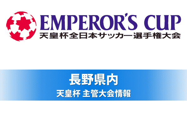 第９６回天皇杯２回戦アルウィン会場